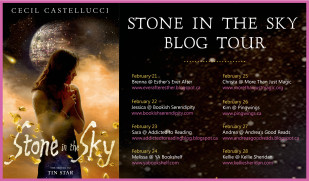 StoneInTheSkyBlogTour