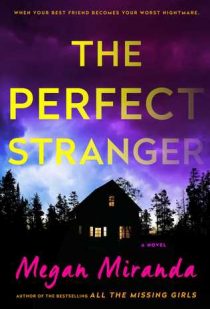 the-perfect-stranger